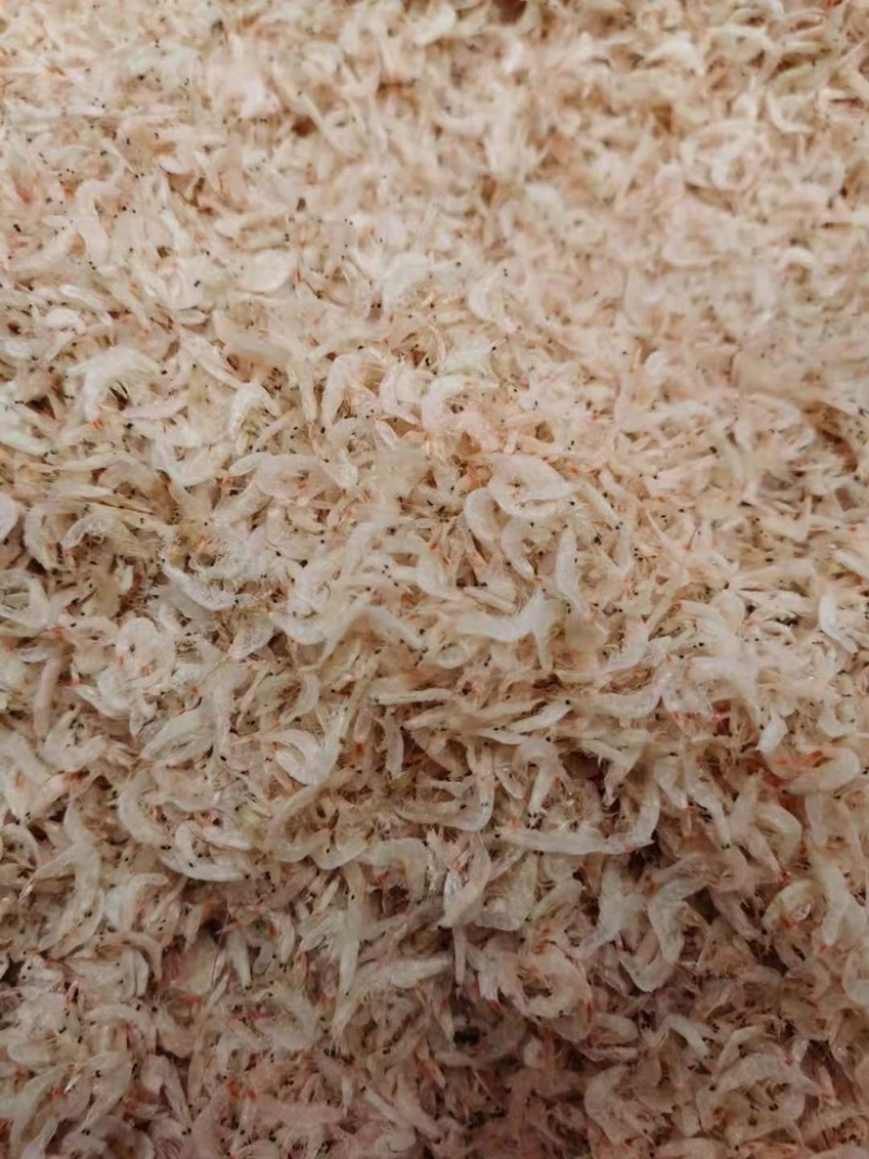 酒窝商贸：市场分析与策略指引