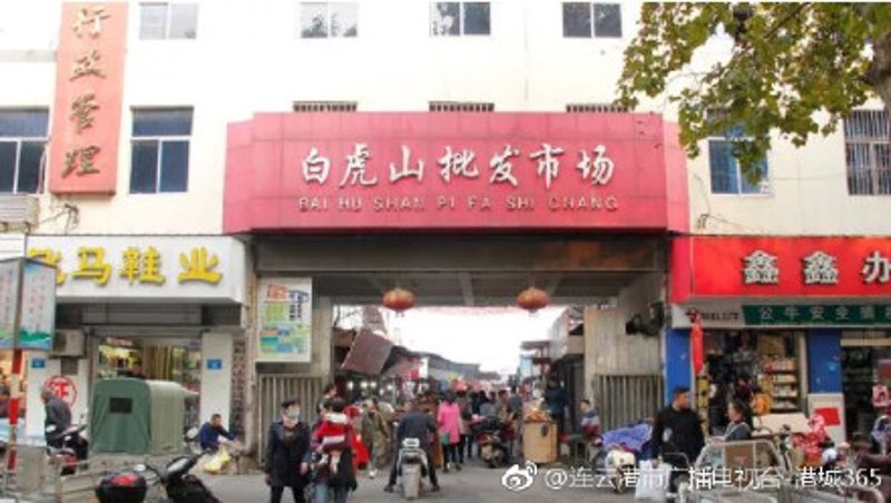 连云港批发市场的春天来了